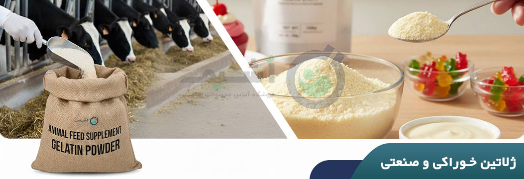خرید ژلاتین صنعتی و خوراکی و دارویی از فروشگاه مواد شیمیایی اُشیم